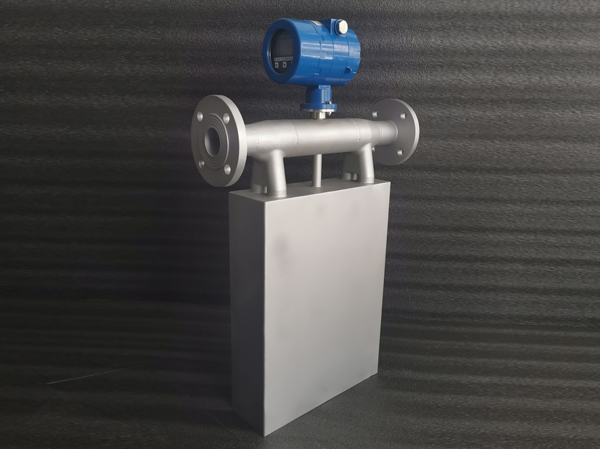 Manufacturer of intelligent micro coriolis mass flowmeter