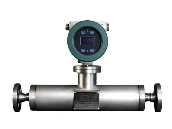 Manufacturer of intelligent straight tube type coriolis flowmeter